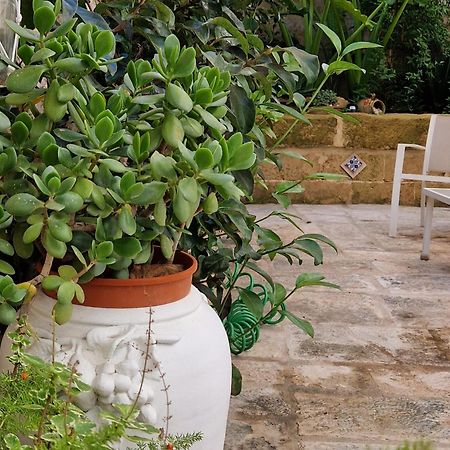 Xenia Boutique Apartment Trepuzzi エクステリア 写真
