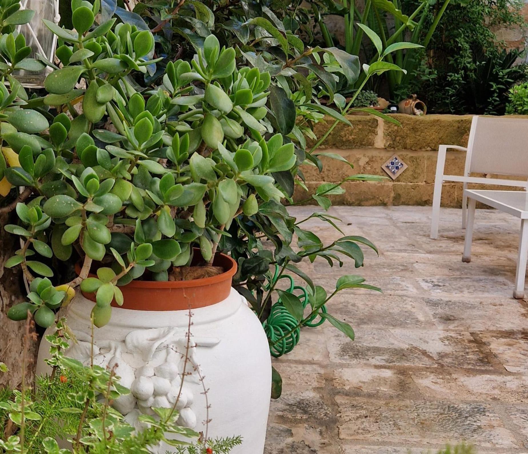 Xenia Boutique Apartment Trepuzzi エクステリア 写真